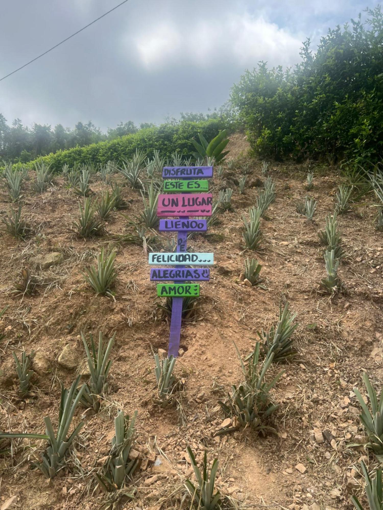 Finca Don Matias メルガル エクステリア 写真